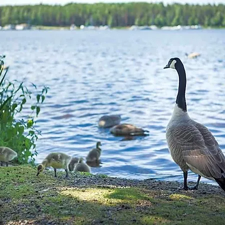 Imatran Kylpylae